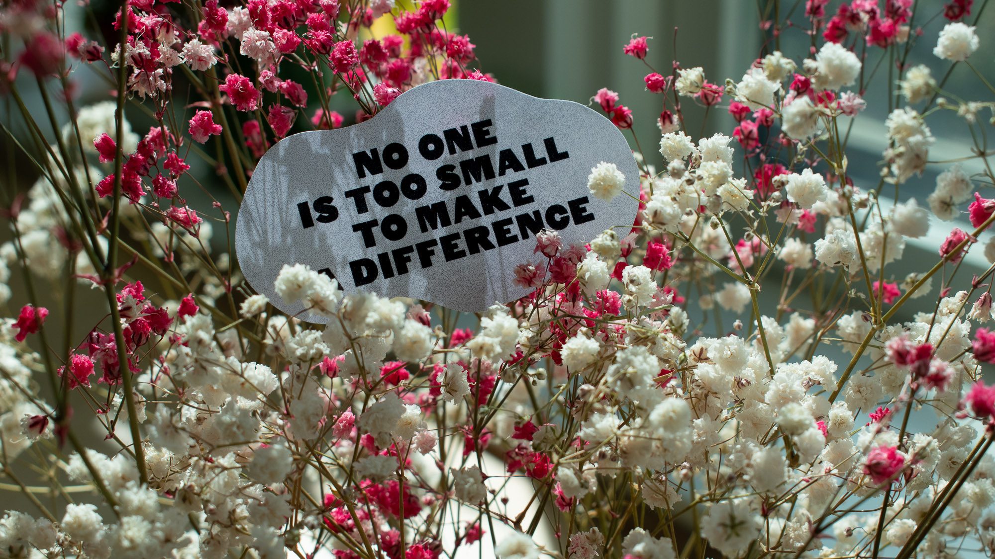 Image of pink and white flowers with note sitting in the flowers. The note reads, 'No one is too small to make a difference'. 